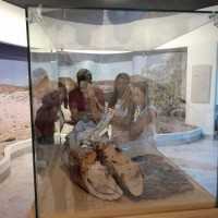 Visita al Museo de Antropología e Historia de BCS por estudiantes de la Licenciatura en Gestión y Desarrollo Turístico