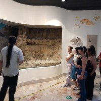 Estudiantes de la Licenciatura en Gestión y Desarrollo Turístico realizan visita al Museo de Antropología e Historia de BCS