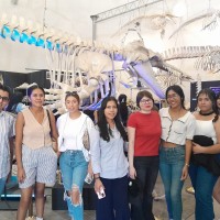 Estudiantes de la UTLP realizan visita al Museo de la Ballena y Ciencias del Mar