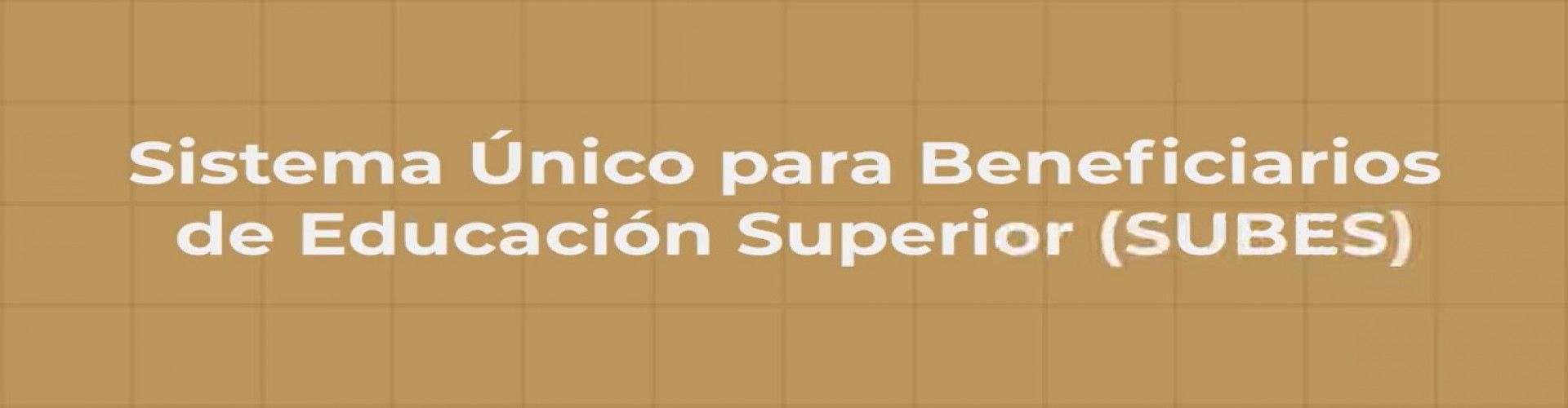 Tutorial sobre el Sistema Único de Beneficiarios de Educación Superior SUBES